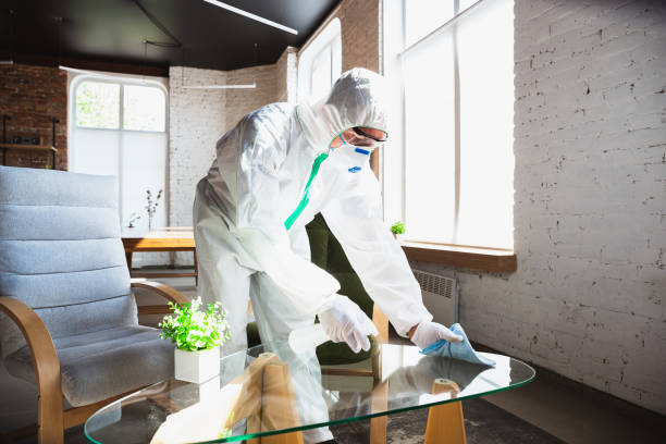 Why You Should Choose Our Mold Remediation Services in Bethesda, OH